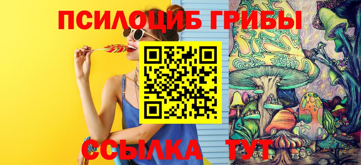 Северск  Псилоцибиновые грибы Psilocybe  Вход с VPN 